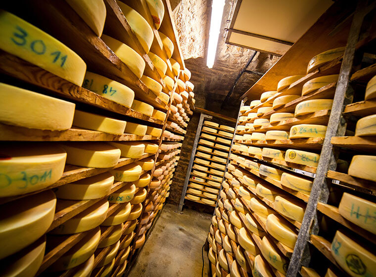 Comté maturing cheese cellar in the Rousses fort in the Jura
